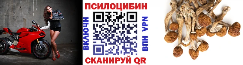 Галлюциногенные грибы MAGIC MUSHROOMS  Гусь-Хрустальный 