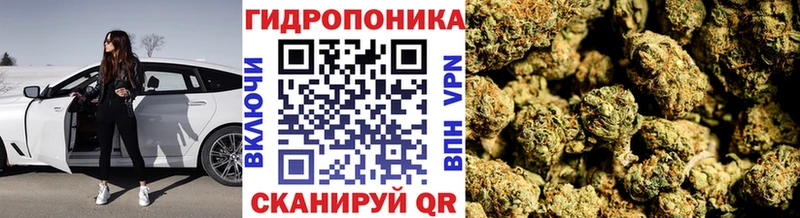 Канабис Amnesia  KRAKEN как зайти  Гусь-Хрустальный  где купить  
